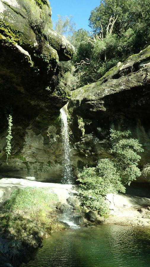 Camping La Chataigneraie Gravieres 外观 照片